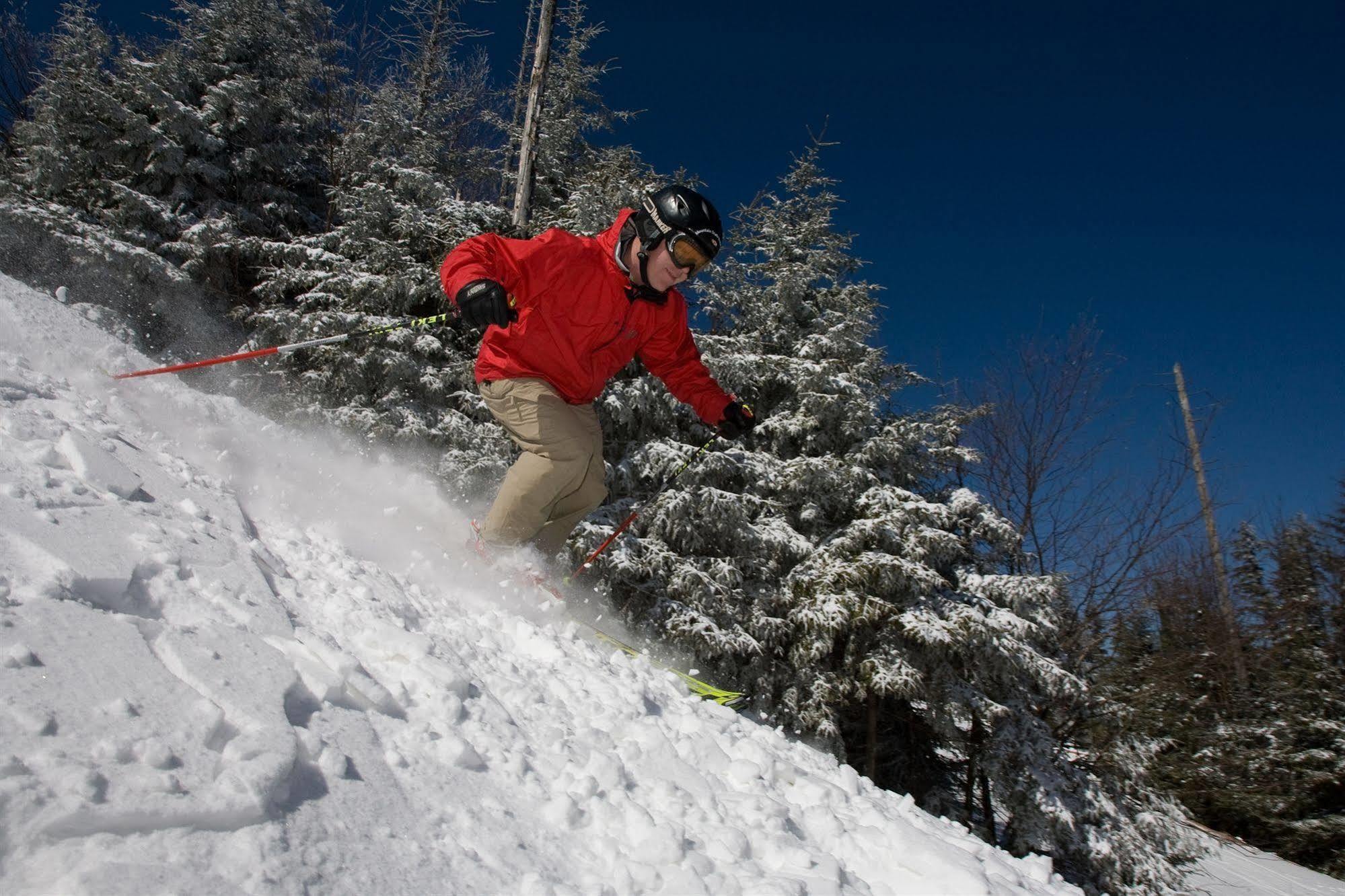 Allegheny Springs Snowshoe Exteriör bild