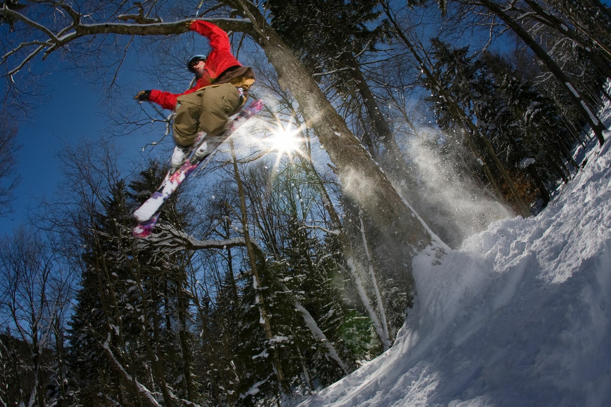 Allegheny Springs Snowshoe Exteriör bild