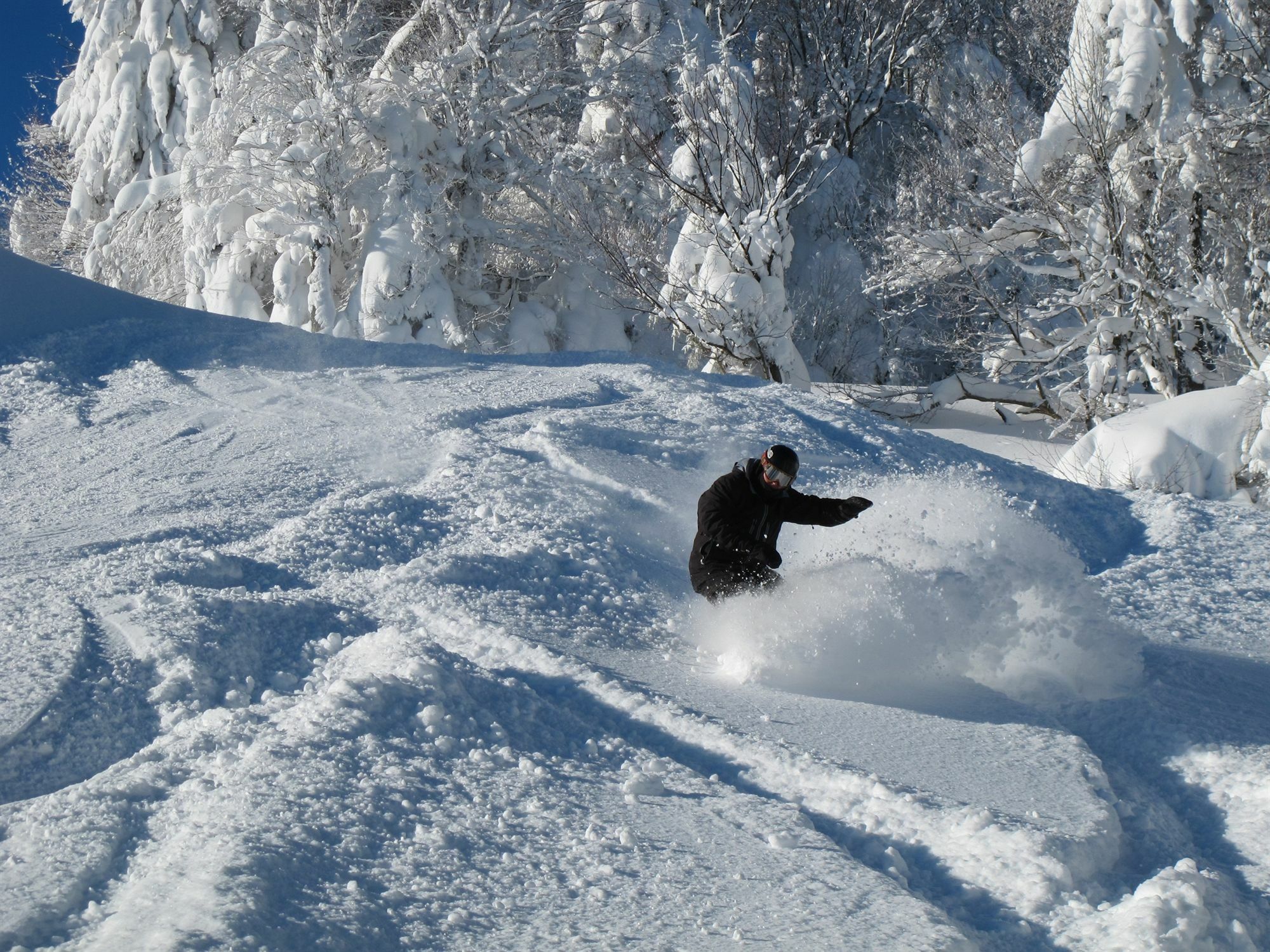 Allegheny Springs Snowshoe Exteriör bild